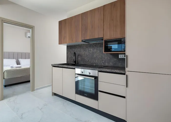 Rodos Stars Stellar *